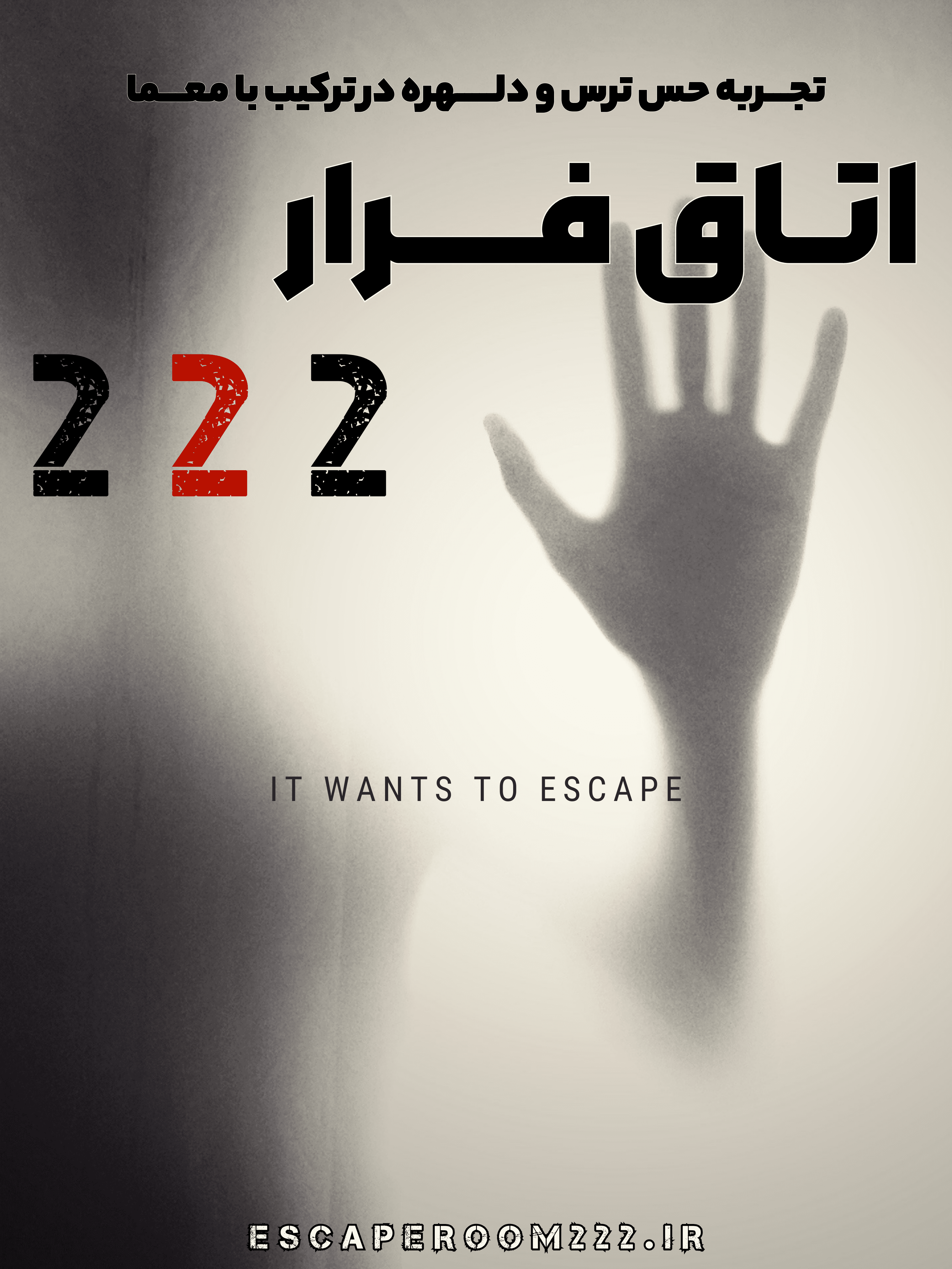 آرین حسینی